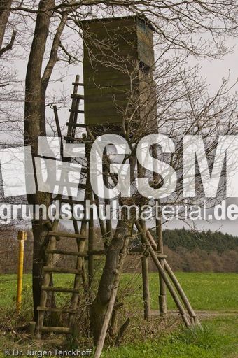 Hochstände (78 von 154).jpg